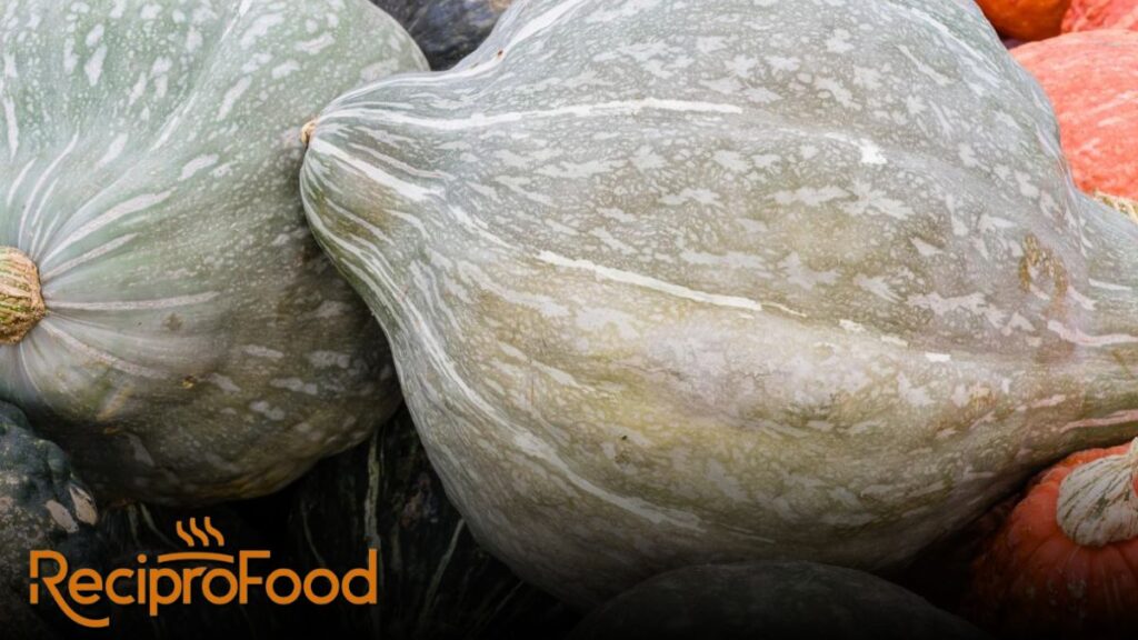 hubbard squash