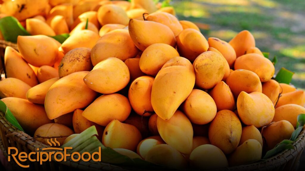 when is mango season